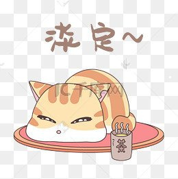 2021布偶猫市场价格
