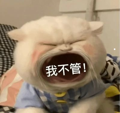 背部黑毛手部白色猫咪品种