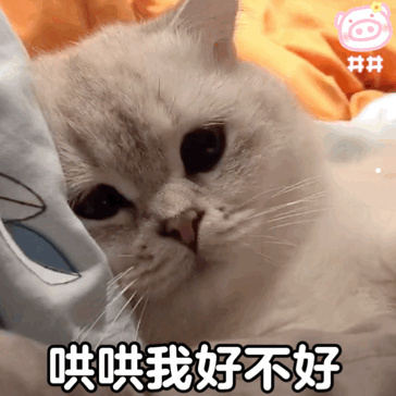 黑猫亲近你是不祥之兆吗