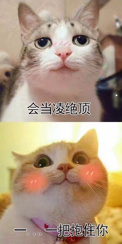 龙猫宫崎骏图片