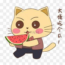 布偶蓝猫串串长大后的样子