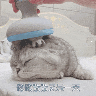 猫叫可以吓跑老鼠吗