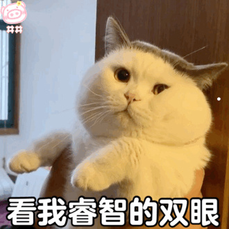 寓意发财的动物