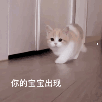 银渐层性格一点都不温柔