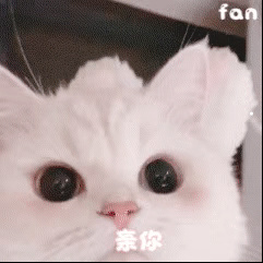 杜宾裁耳原因