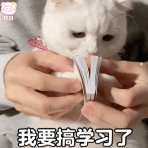 猫走失了会想主人吗