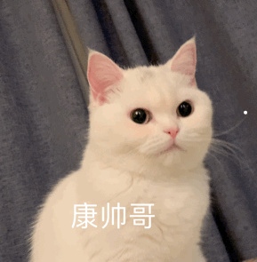 最贵的家具木材排名