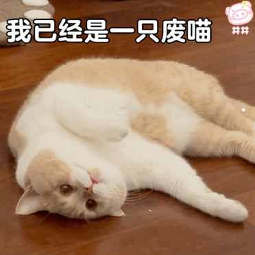 怀孕几个月查弓形虫