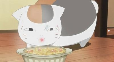 缅因猫价格