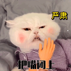 什么猫好看又好养活价格便宜