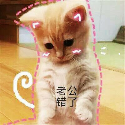 短视频推广的方法1500字