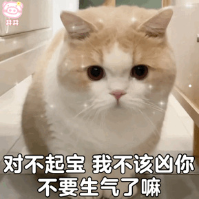 脱口秀领养猫段子