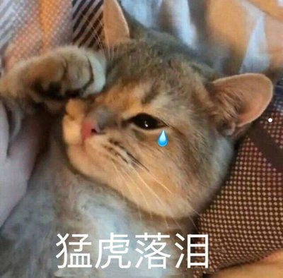 交易猫买的王者荣耀qq安全吗