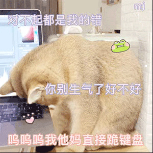 适合家养不咬人的宠物