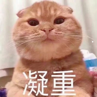被猫咬了过了20天安全了吗