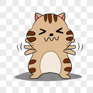 猫的图片可爱头像高清