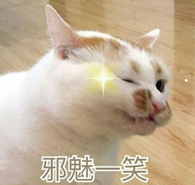 怎么看猫有没有被配过