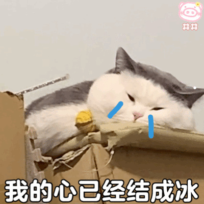 银渐层毛色会变化吗