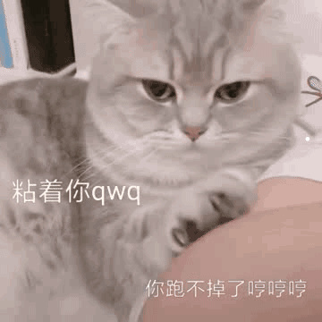 猫叫综合征的临床表现及致病机理