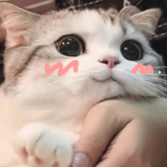 有什么声音可以驱赶老鼠
