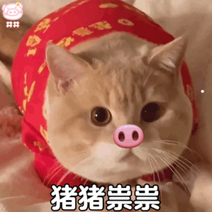 拉布拉多犬图片价格表奶油色
