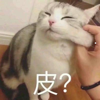 猫得了狂犬病能活多久