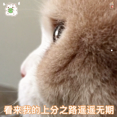拉布拉多犬有什么缺点