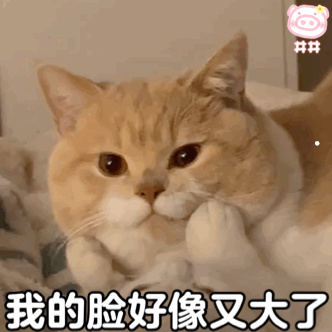 白色狗狗泪痕怎么去掉