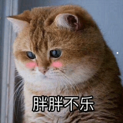 猫为什么跟着主人走