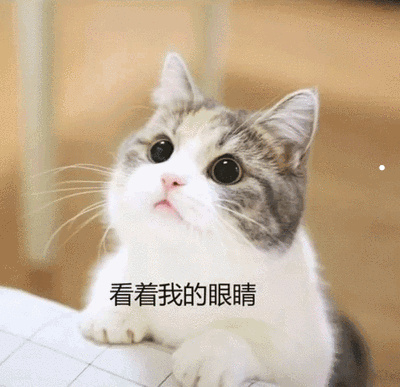 半夜有猫在家门口叫