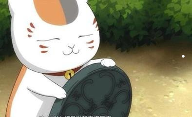 养猫的20种理由