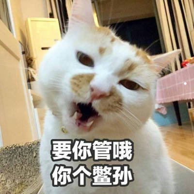 怎么鉴定狗抓伤伤痕