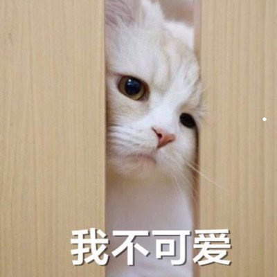 名贵木材排名前十的品牌