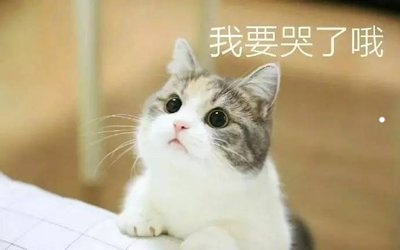 穆祉丞图片可爱