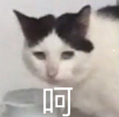 吸引猫叫声音视频