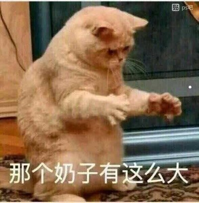 能听懂猫叫声的软件