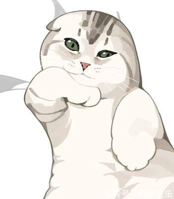 在家找猫最有效的方法