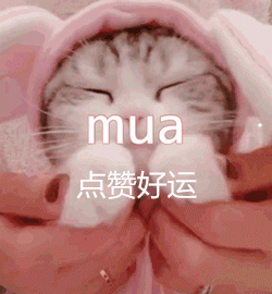 如何识别狗狗的品种