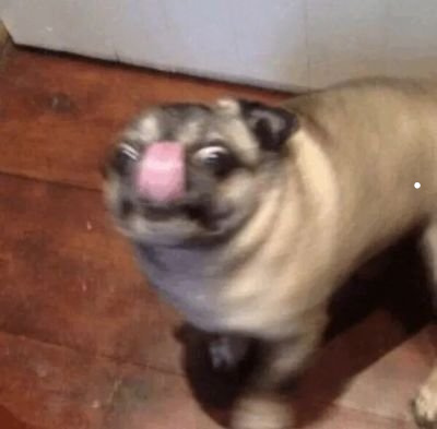 猫喜欢怎么叫
