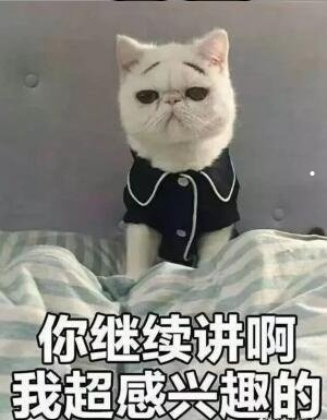怎么判断狗携带有狂犬病毒