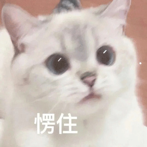 兰花品种名称
