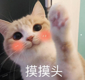 金毛价格大概多少钱一只