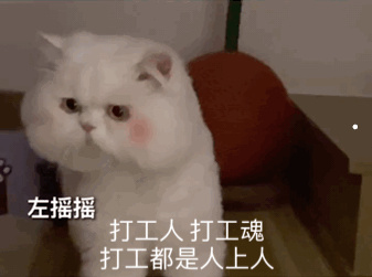 世界名犬狗狗品种大全