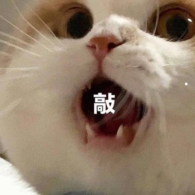 500元