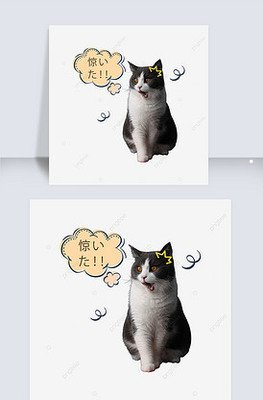 可以用猫叫声吓跑老鼠吗