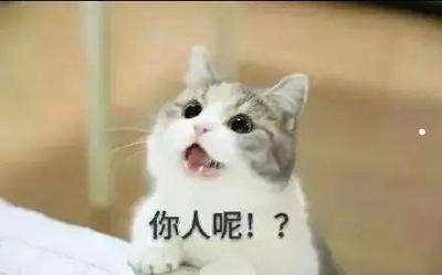 养什么宠物好养又干净又没传染