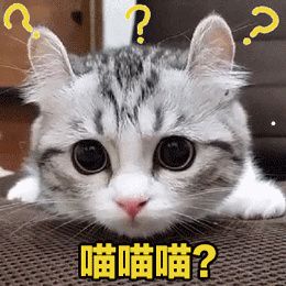 猫的胡子根部发黑