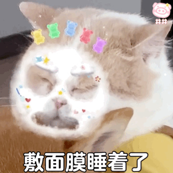 喜欢让人抱的猫品种