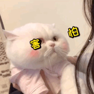 阴气重的动物有哪些