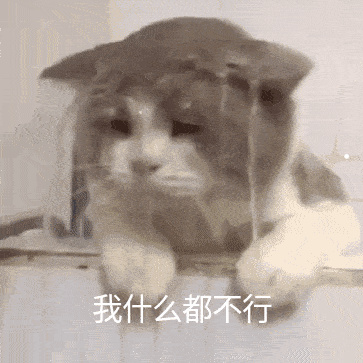 对猫毛过敏怎么办才最有效